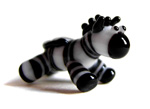 xander the zebra.  He now lives in texas